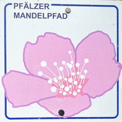 23-03-13 12-33-06 4849